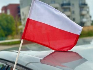 d077f5aa347865b15281a2c5ecafb630