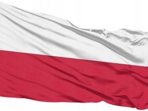 3dfc18100983d863fa9a9f3bf1eff953