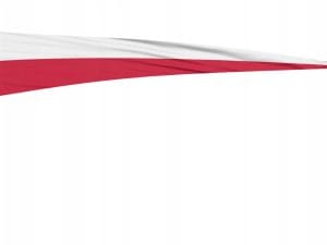 cf12aed10f4203a257c801fe61905c0f