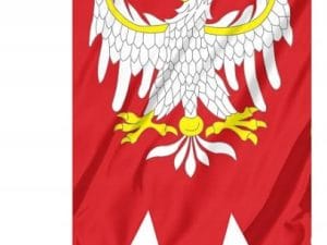 34d1b0b2bd4db0e8ec3e467197b54262