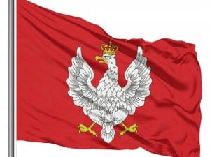 cf96bdb40829f08fee7bf467cfac6fa1