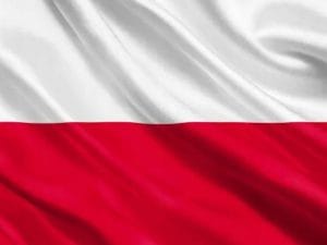 25bf0c2a77a6715c24cd1e271df49510