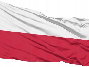 3dfc18100983d863fa9a9f3bf1eff953