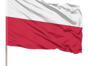 3fe2843abb8c1ad5f05decca6fff0ef7