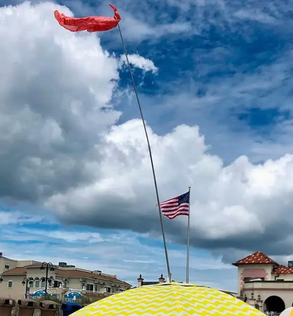 6db11bcfda374a5f79c872c34a000083